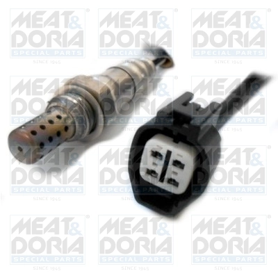 Oxygen Sensor